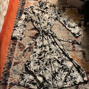 Zara Maxidress or duster